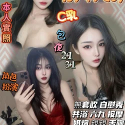 桃園定點茶 張維安