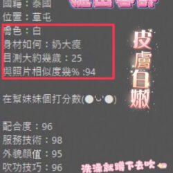 南投定點茶 雛田 - 找妹老司機