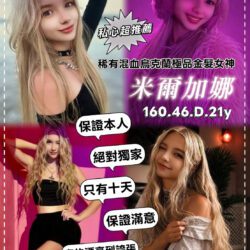 桃園定點茶 米爾加娜
