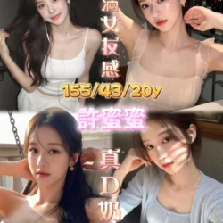 嘉義定點茶 許蜜蜜