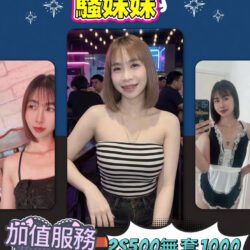 苗栗定點茶 小小