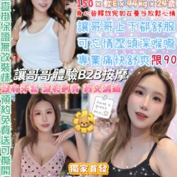 台北定點茶 小倉鼠