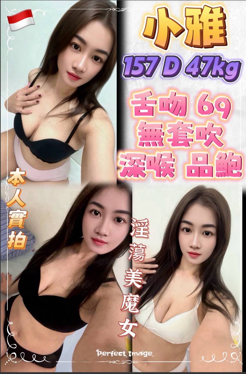 新北定點茶 小雅 1 新北定點茶 小雅