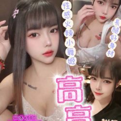 桃園定點茶 高高
