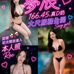 嘉義定點茶 夢辰