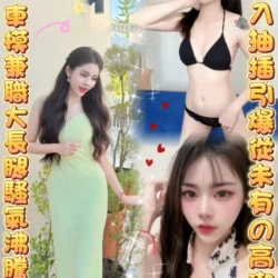 雲林定點茶 芳純