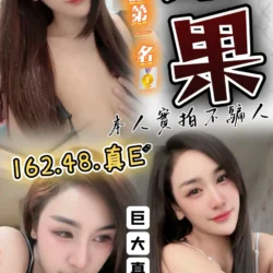 台中定點茶 蓁果