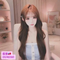 台中外送茶 狐狸